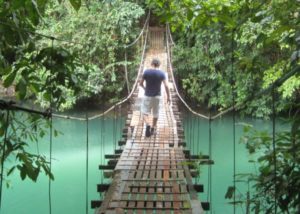 footbridge in jungle Drake Bay Costa Rica