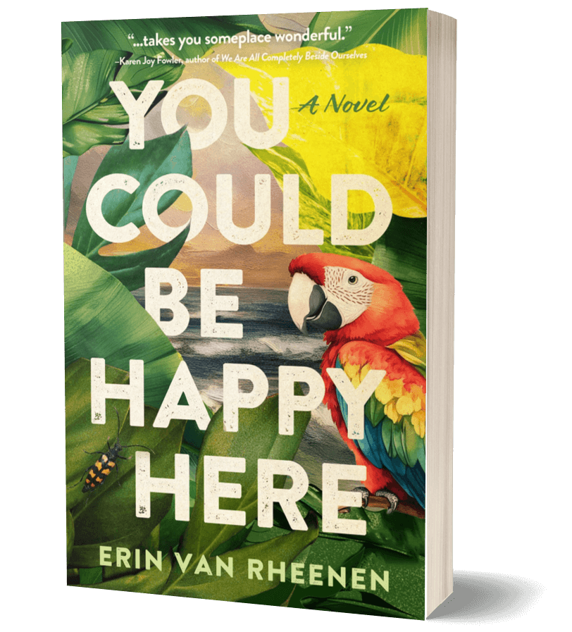 paperback You Could Be Happy Here